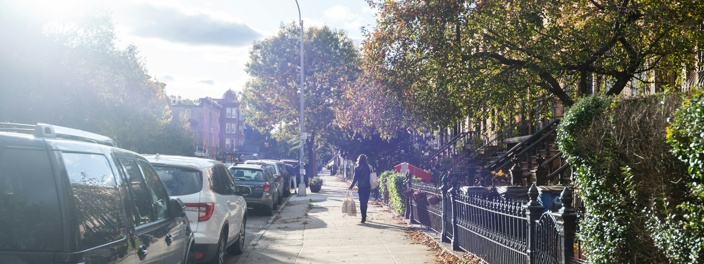 A sunlit Brooklyn brownstone street in autumn: parked cars, iron railings, stoops, and a canopy of turning leaves.